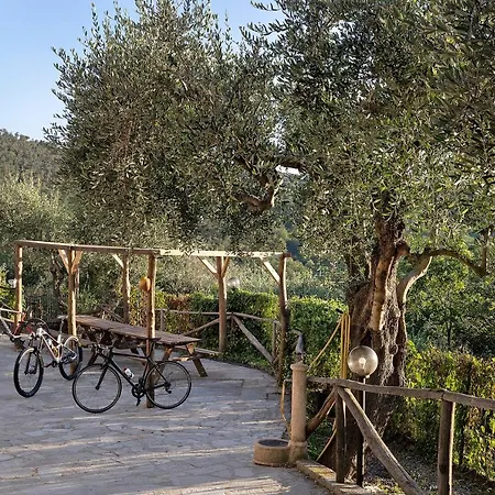 Casa Chicken - Mare, Monti E Bikers Апартаменты *
