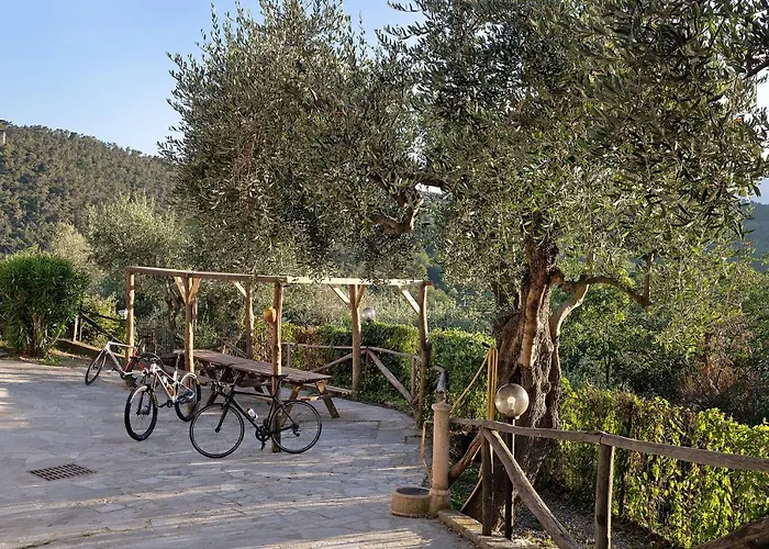 Casa Chicken - Mare, Monti E Bikers 아파트 *